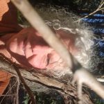 Profile photo of Janis private