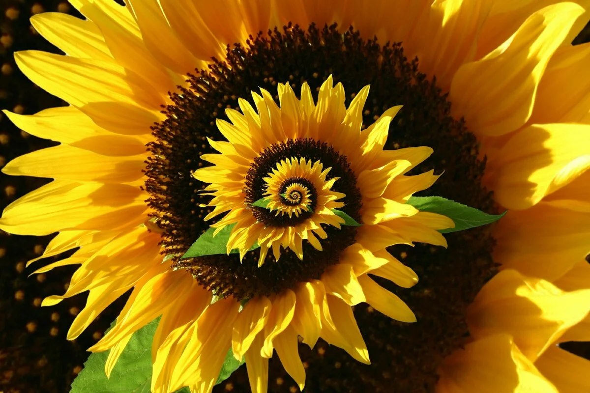 6769895bd8dd3 bp cover image